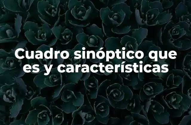 Cuadro Sinóptico que es y Características