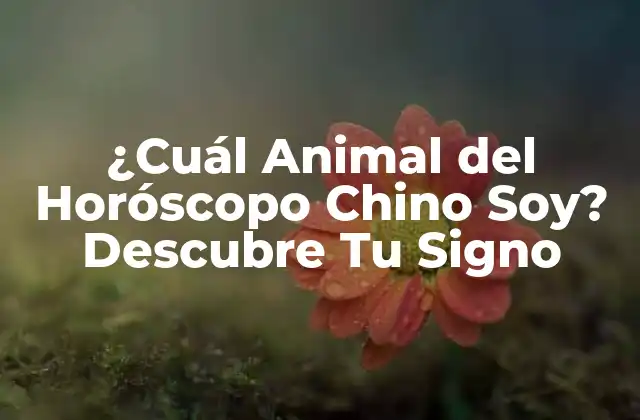 ¿cuál Animal Del Horóscopo Chino Soy? Descubre Tu Signo