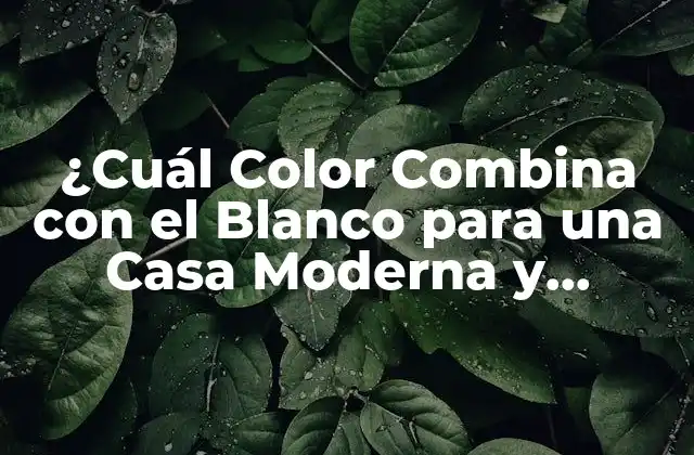 ¿cuál Color Combina con el Blanco para una Casa Moderna y Hermosa?