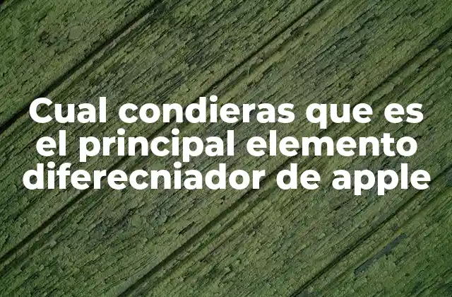 Cual Condieras que es el Principal Elemento Diferecniador de Apple