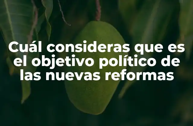 Cuál Consideras que es el Objetivo Político de las Nuevas Reformas