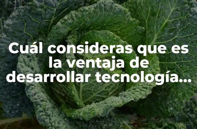 Cuál Consideras que es la Ventaja de Desarrollar Tecnología Multicapa