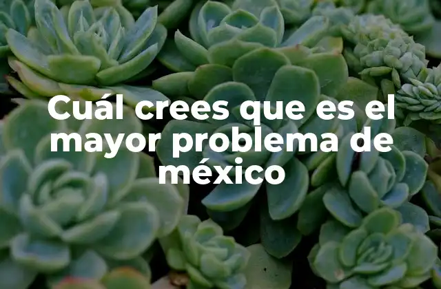 Cuál Crees que es el Mayor Problema de México