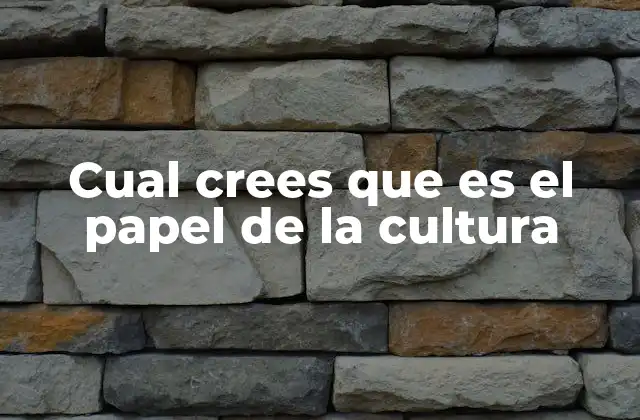 Cual Crees que es el Papel de la Cultura