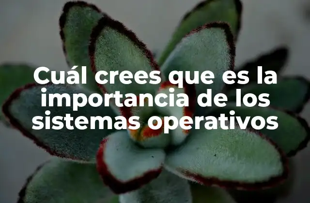 Cuál Crees que es la Importancia de los Sistemas Operativos
