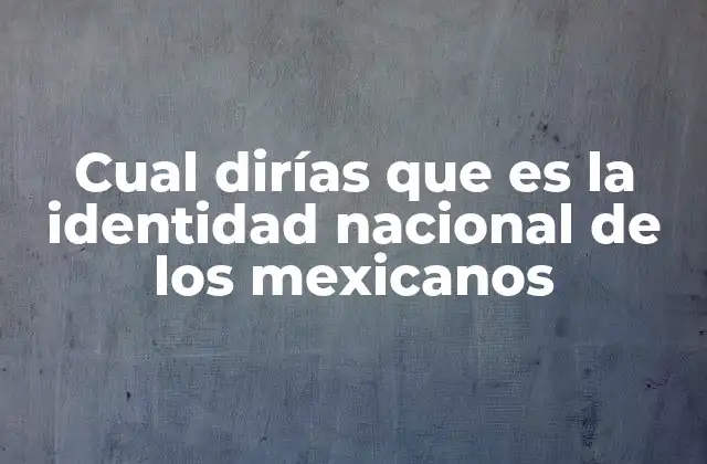Cual Dirías que es la Identidad Nacional de los Mexicanos