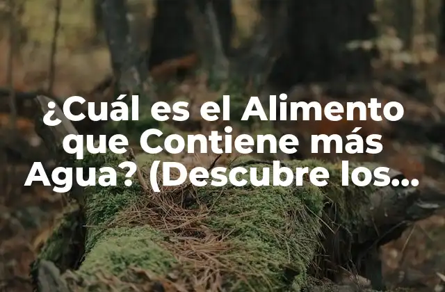 ¿cuál es el Alimento que Contiene Más Agua? (descubre los Sorprendentes Hechos)