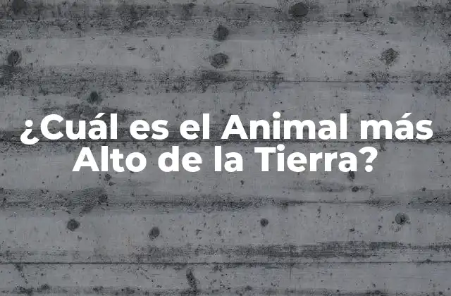 ¿Qué son los Animales Altos y por qué son Importantes?
