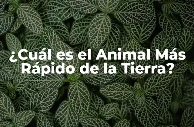 ¿cuál es el Animal Más Rápido de la Tierra?