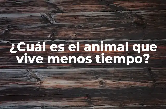 ¿cuál es el Animal que Vive Menos Tiempo?