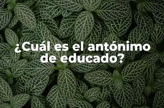 Definición de educado y su importancia