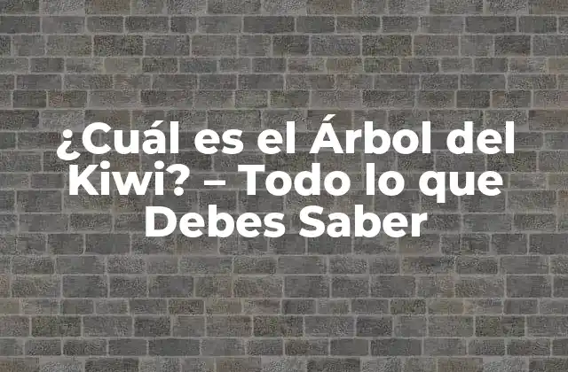¿cuál es el Árbol Del Kiwi? – Todo Lo que Debes Saber