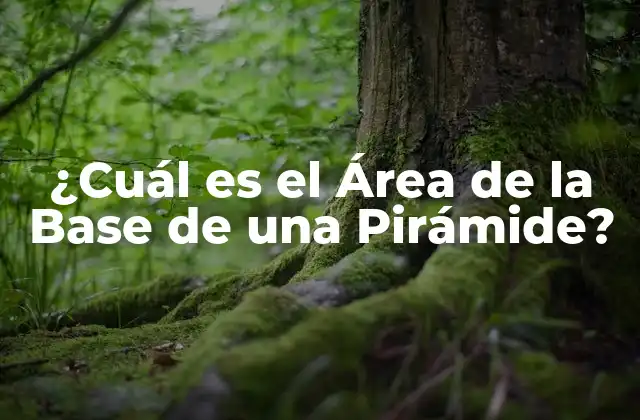 ¿cuál es el Área de la Base de una Pirámide?
