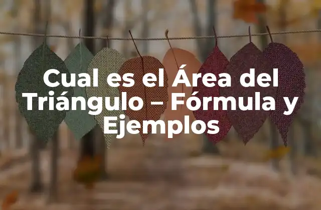 Cual es el Área Del Triángulo – Fórmula y Ejemplos