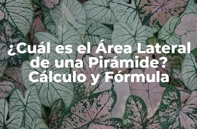 Definición y Concepto de Área Lateral