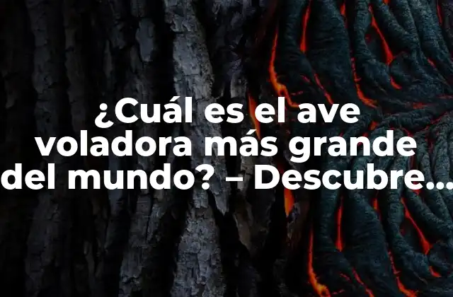 ¿cuál es el Ave Voladora Más Grande Del Mundo? – Descubre la Respuesta Sorprendente