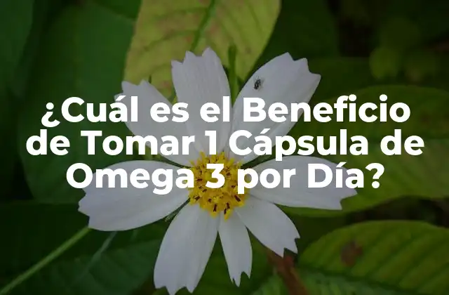 ¿cuál es el Beneficio de Tomar 1 Cápsula de Omega 3 por Día?