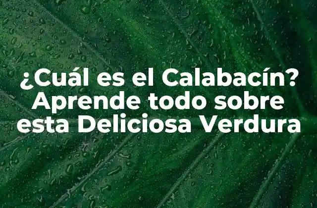 ¿cuál es el Calabacín? Aprende Todo sobre Esta Deliciosa Verdura