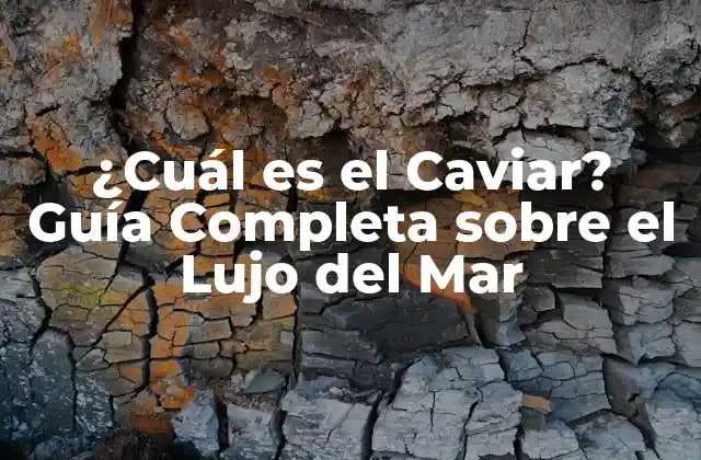 ¿cuál es el Caviar? Guía Completa sobre el Lujo Del Mar