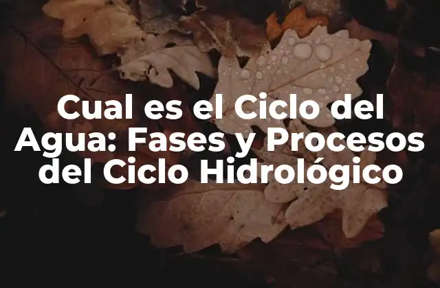 Cual es el Ciclo Del Agua: Fases y Procesos Del Ciclo Hidrológico