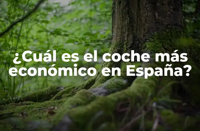 ¿cuál es el Coche Más Económico en España?