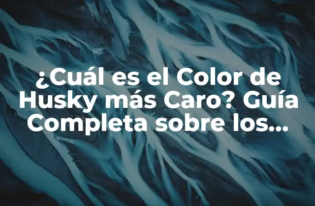 ¿cuál es el Color de Husky Más Caro? Guía Completa sobre los Precios de los Huskies de Razas Raras