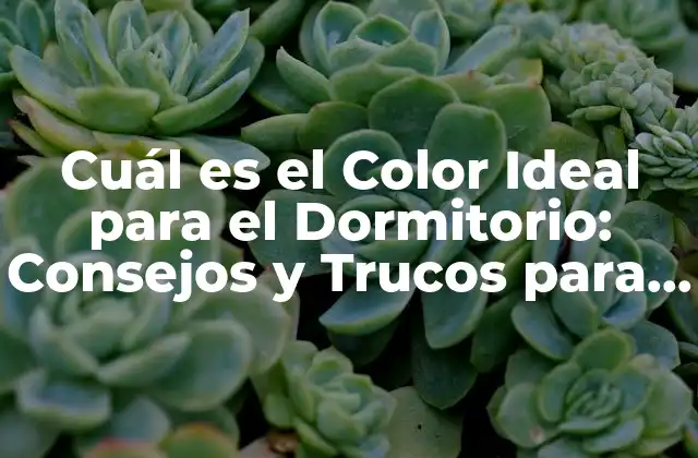 Cuál es el Color Ideal para el Dormitorio: Consejos y Trucos para un Sueño Profundo