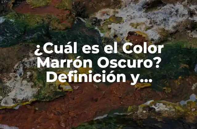 ¿cuál es el Color Marrón Oscuro? Definición y Significado