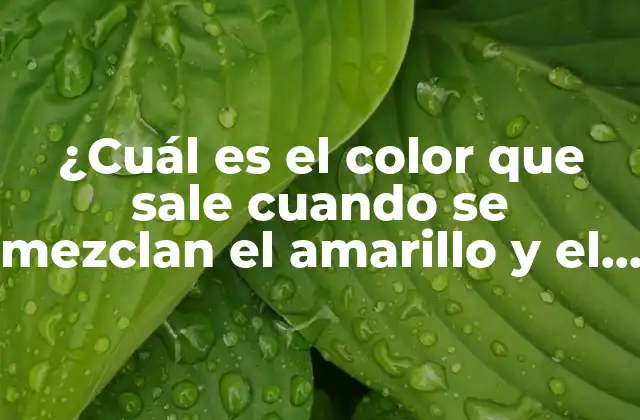 ¿cuál es el Color que Sale Cuando Se Mezclan el Amarillo y el Azul?