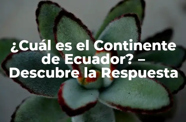 ¿cuál es el Continente de Ecuador? – Descubre la Respuesta