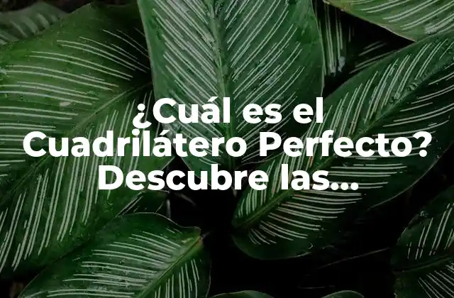 ¿cuál es el Cuadrilátero Perfecto? Descubre las Propiedades y Tipos de Cuadriláteros