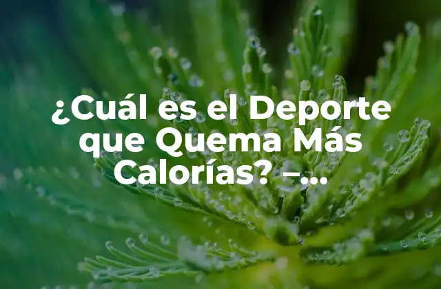 ¿cuál es el Deporte que Quema Más Calorías? – Entrenamiento de Alta Intensidad