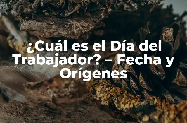 ¿cuál es el Día Del Trabajador? – Fecha y Orígenes