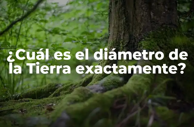La importancia de la medición del diámetro de la Tierra