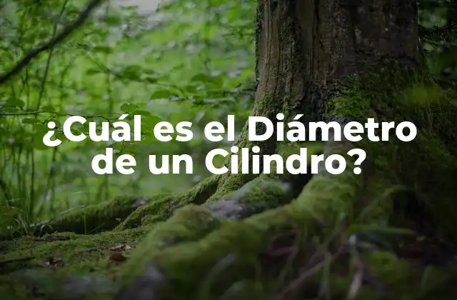 ¿cuál es el Diámetro de un Cilindro? 2 Definición del Diámetro de un Cilindro