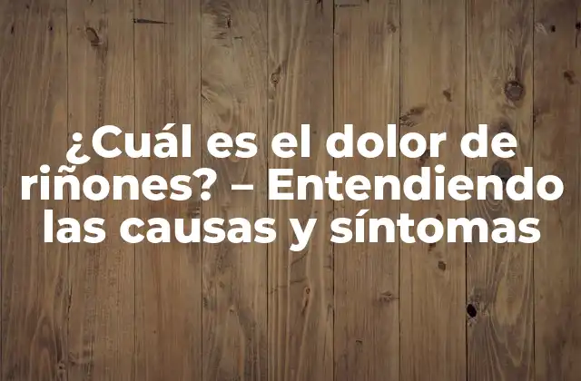 ¿cuál es el Dolor de Riñones? – Entendiendo las Causas y Síntomas