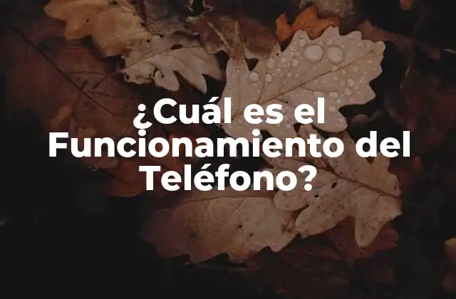 ¿cuál es el Funcionamiento Del Teléfono?