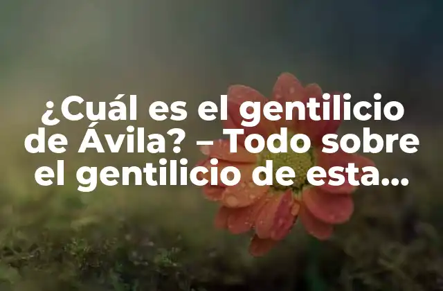 ¿cuál es el Gentilicio de Ávila? – Todo sobre el Gentilicio de Esta Hermosa Ciudad Española