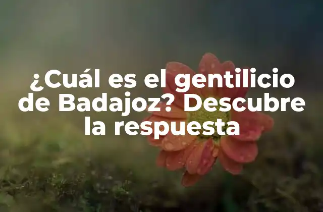 ¿cuál es el Gentilicio de Badajoz? Descubre la Respuesta
