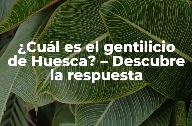 ¿cuál es el Gentilicio de Huesca? – Descubre la Respuesta