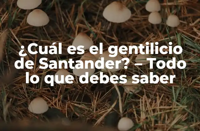 ¿cuál es el Gentilicio de Santander? – Todo Lo que Debes Saber