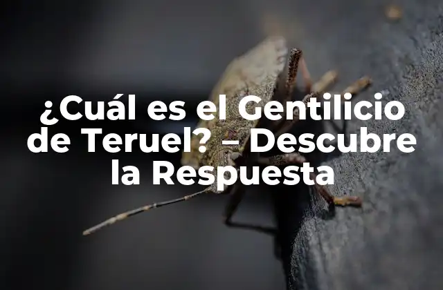 ¿cuál es el Gentilicio de Teruel? – Descubre la Respuesta