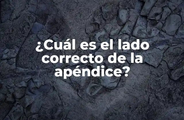 ¿cuál es el Lado Correcto de la Apéndice?