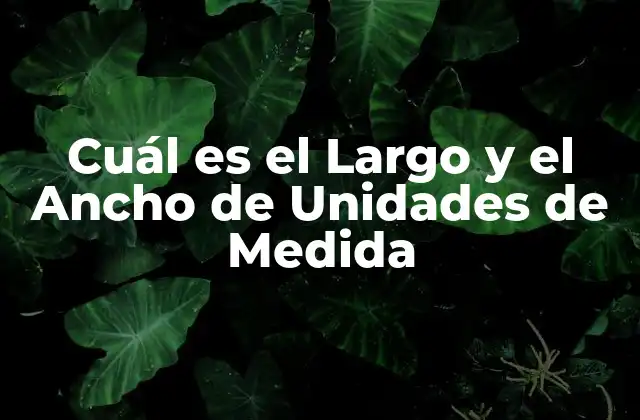 Cuál es el Largo y el Ancho de Unidades de Medida 2 Definición de Largo y Ancho