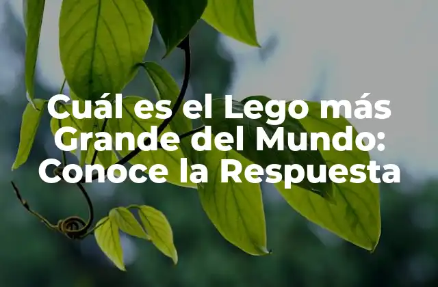 Cuál es el Lego Más Grande Del Mundo: Conoce la Respuesta