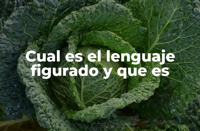 Cual es el Lenguaje Figurado y que es