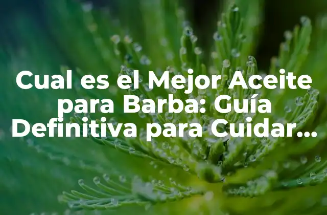 Cual es el Mejor Aceite para Barba: Guía Definitiva para Cuidar Tu Barba