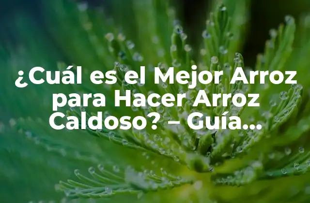¿cuál es el Mejor Arroz para Hacer Arroz Caldoso? – Guía Completa