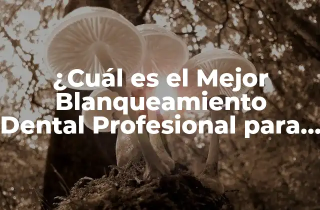 ¿cuál es el Mejor Blanqueamiento Dental Profesional para Obtener un Brillo Perfecto?