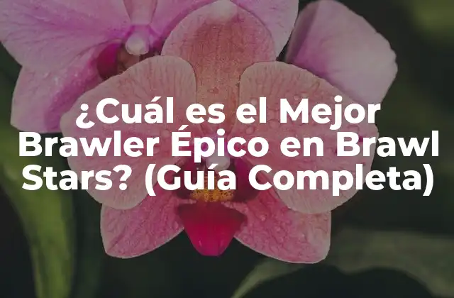 ¿cuál es el Mejor Brawler Épico en Brawl Stars? (guía Completa)
